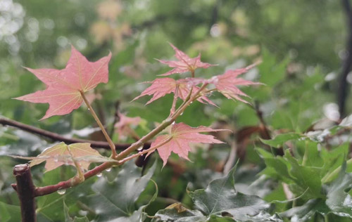 在職場上，長得好看，真的能當(dāng)飯吃嗎？為你揭秘拉開職場差距的真正原因?。?！