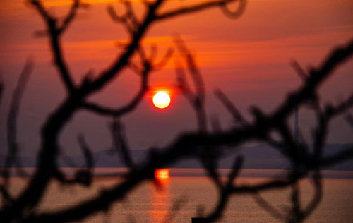 稅務(wù)登記辦理流程有哪些？