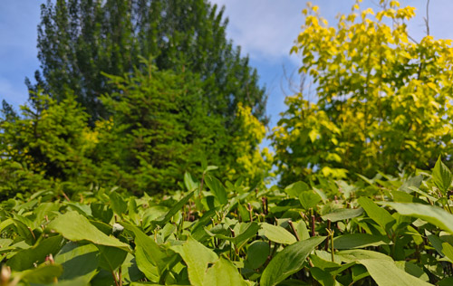 沈陽工傷外包有限公司溫馨提示