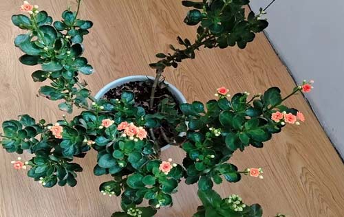 沈陽人事代理公司提供的代理服務概覽