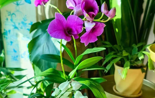 沈陽勞務工傷外包的多種模式探討