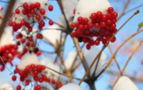 沈陽勞務(wù)派遣能為企事業(yè)單位帶來益處多多！