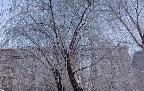 沈陽勞務(wù)派遣公司：解析勞務(wù)派遣的優(yōu)勢(shì)，助您明智選擇